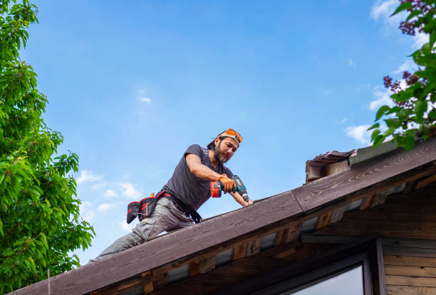 Fast & Reliable Emergency Roof Repairs in Lakeland, TN