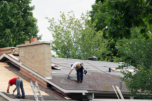 Roof Insulation in Lakeland, TN